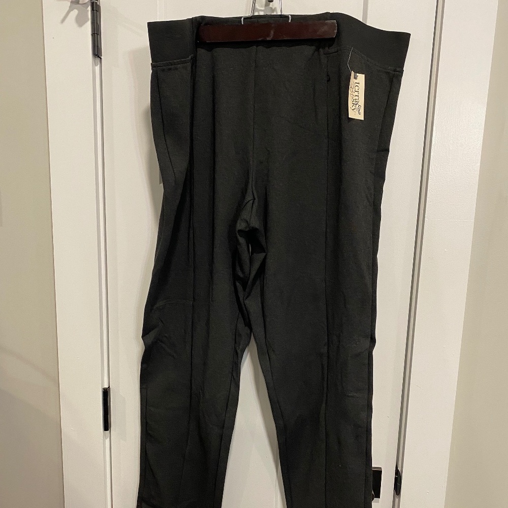 Terra & Sky Pull on Ponte Stretch Pant Size 2X NWT